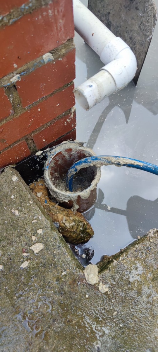 Drain Specialist: Image 8